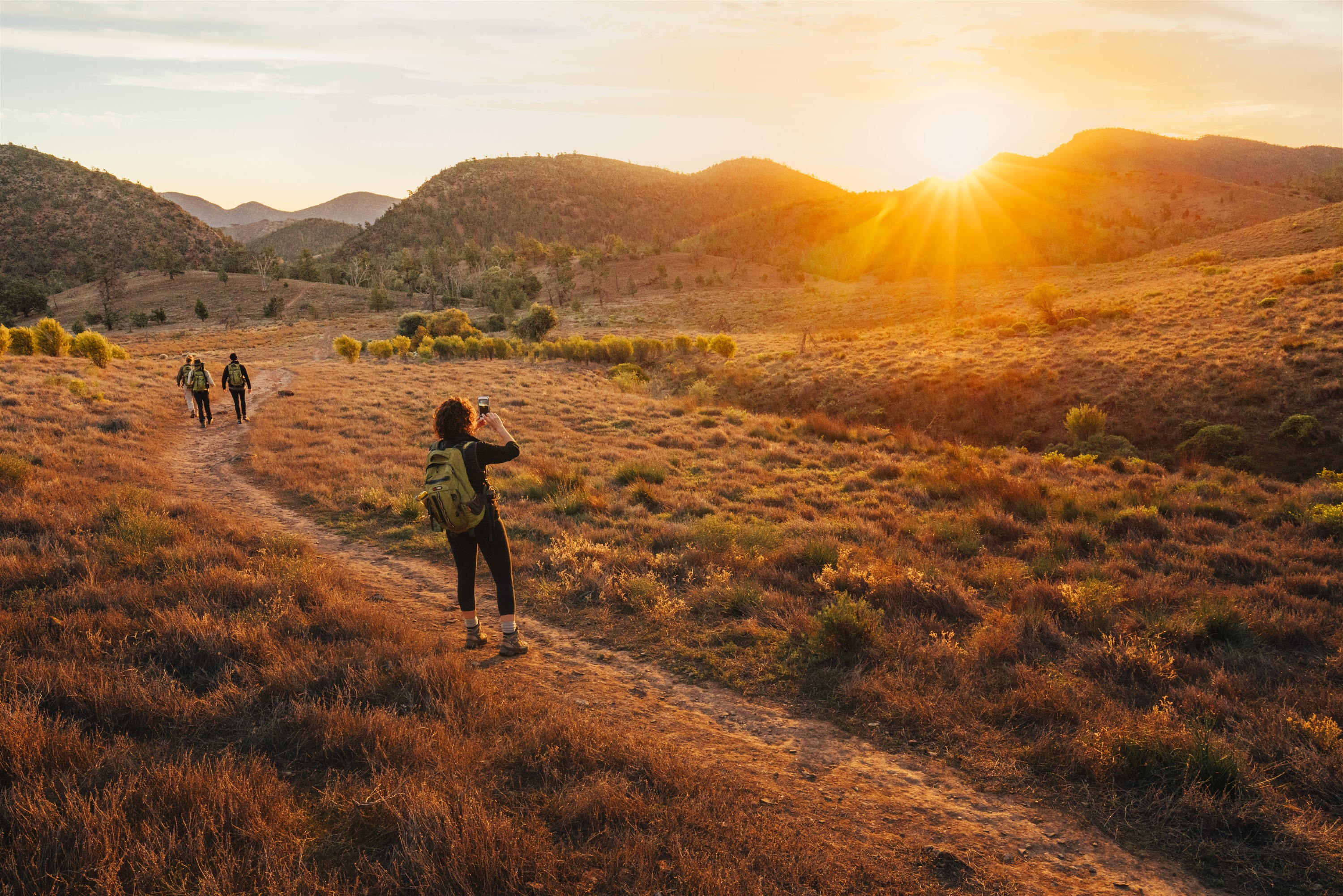 Walk the Flinders Ranges & Wilpena Pound